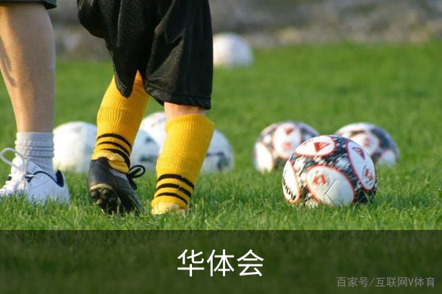 华体会 公司简介